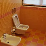 Hostel Sweet &