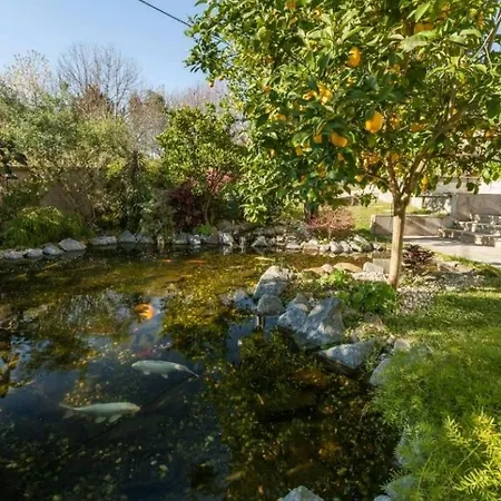 布拉加甜蜜的家旅舍 旅馆 *