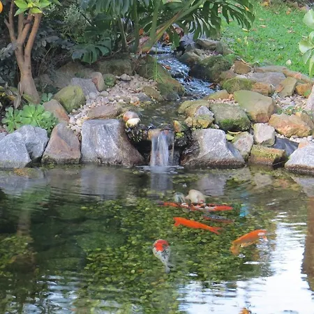 布拉加甜蜜的家旅舍