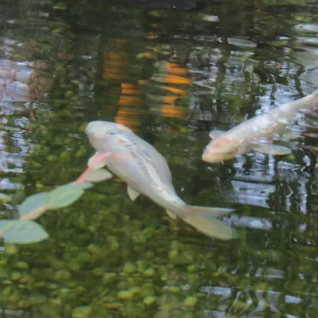 Sweet & ホステル *