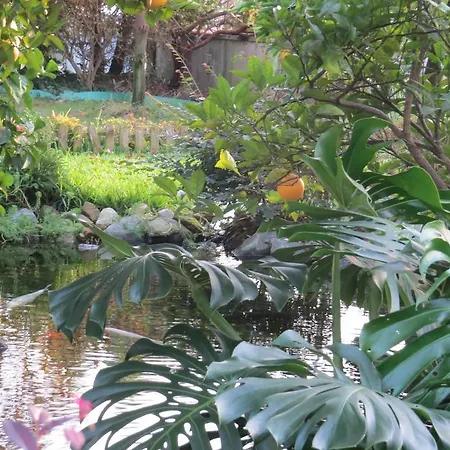 旅馆 布拉加甜蜜的家旅舍 布拉加