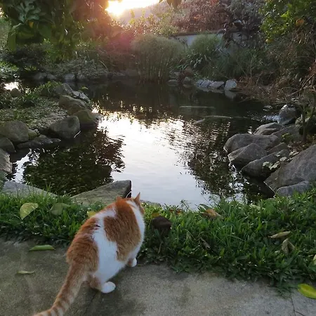 旅馆 布拉加甜蜜的家旅舍