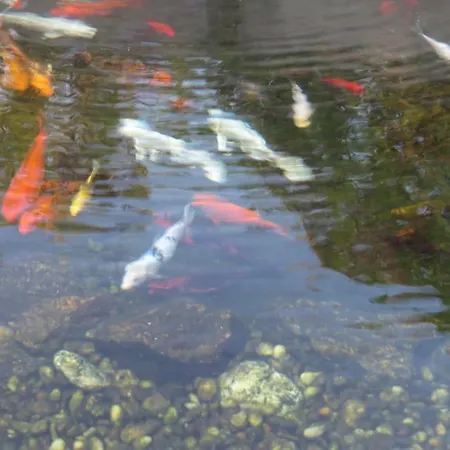 Sweet & ホステル