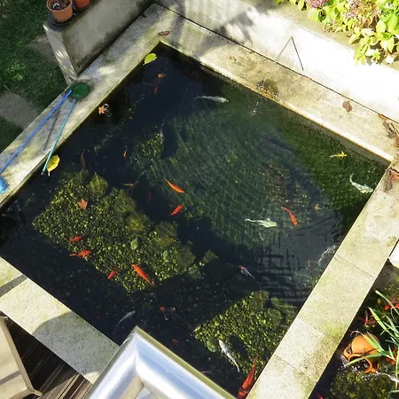 Sweet & ホステル *