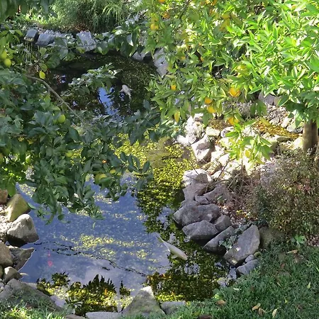 ホステル Sweet & ブラガ