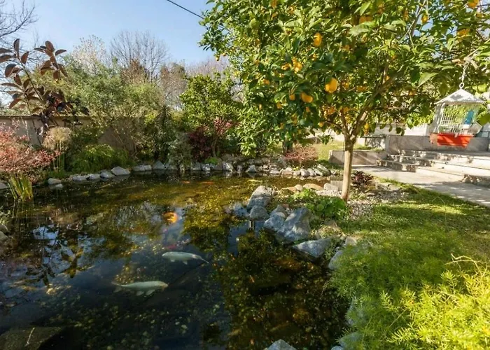 Sweet Hostel&guest House Auberge de jeunesse *