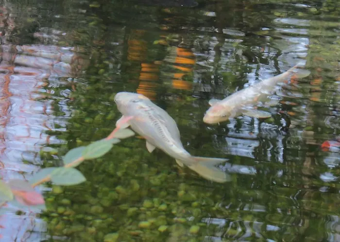 Sweet Hostel&guest House Auberge de jeunesse *