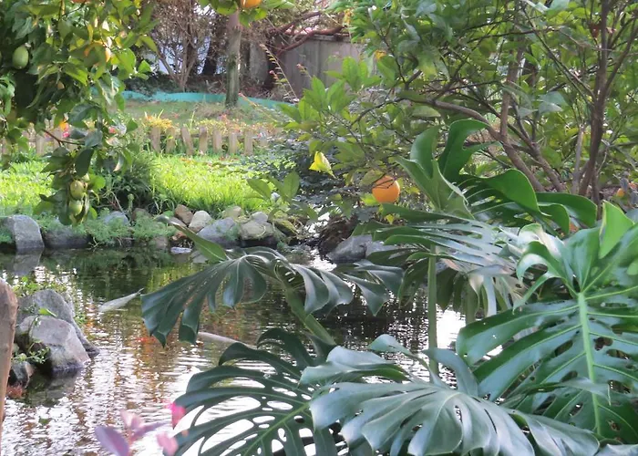 Hostel Sweet & Braga