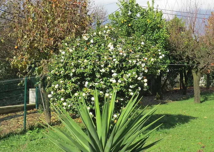 Sweet Hostel&guest House