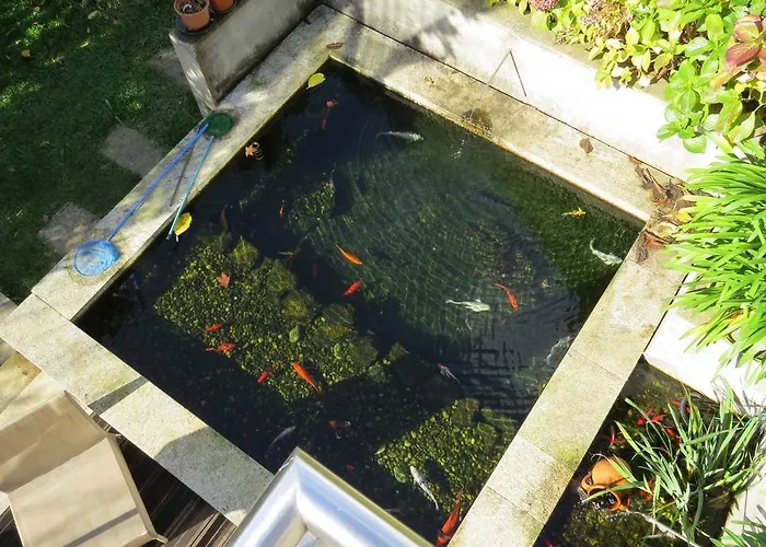 Sweet Hostel&guest House Auberge de jeunesse *